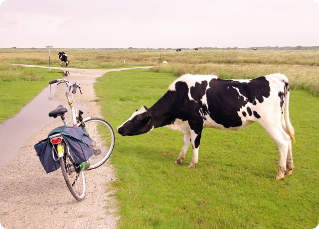 dreamstime_xxl_38585779