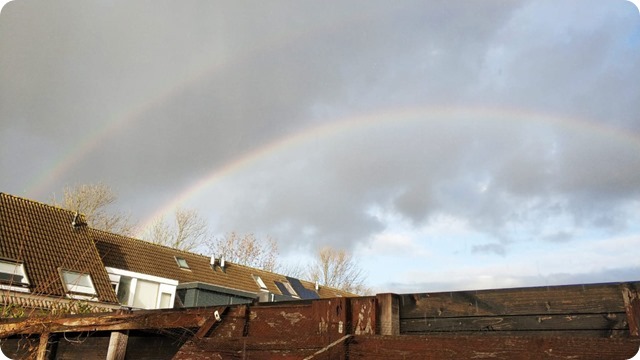 1225ed3c-e962-4417-9f6e-5178f75306c1