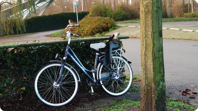 ad4153cc-9690-482a-859e-9342a8ddf8ba