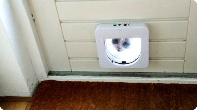 53216962_572131206635172_3180739345036345344_n