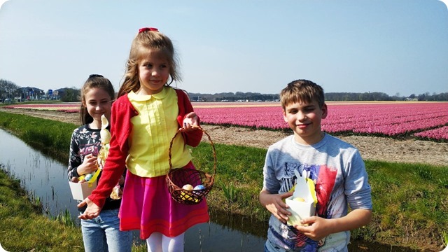 56644771_317653912279188_4365112371165790208_n