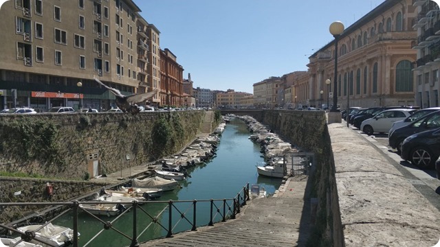 113b4fa7-eb5d-46b1-bb26-d6248f687441