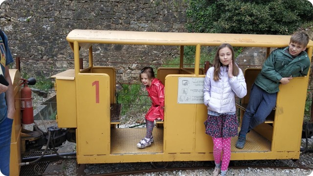 95cf5906-df11-4884-a499-b8d4d7c19dce