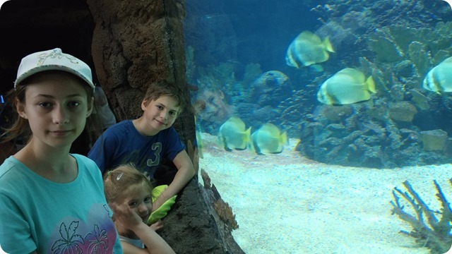 61966825_342575436407117_7268244224397541376_n