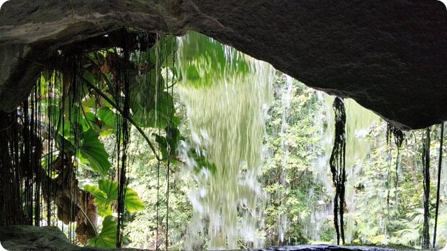 62066936_384236948967950_5070345876614938624_n