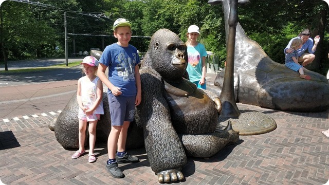 62216540_883682958665017_1506833724694593536_n