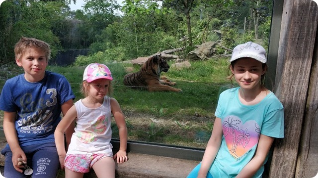 62258258_407489679839013_1081454575946301440_n