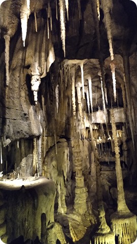 62339125_2283791081937730_9094957909183299584_n