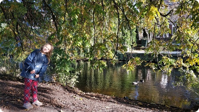 73268239_486600598613350_1118306808390221824_n