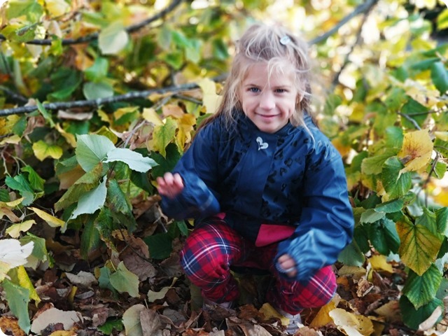 75464418_405814553680385_525615473459462144_n