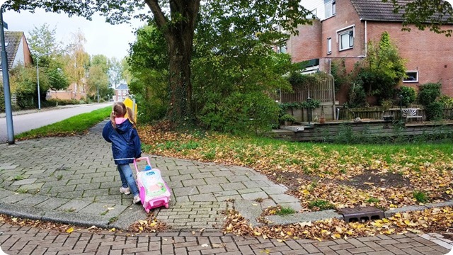 75557419_533343360827186_532938143591038976_n