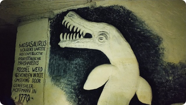 82558606_483456069222655_6063271573043806208_n