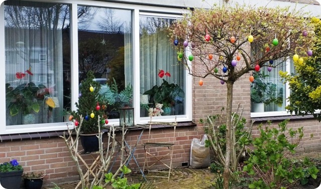 93501623_255376812182640_5833546459714158592_n