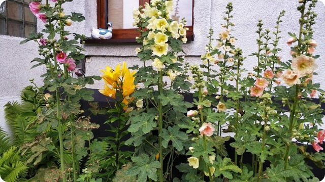 118293025_2975129265930270_3586391837538083530_n