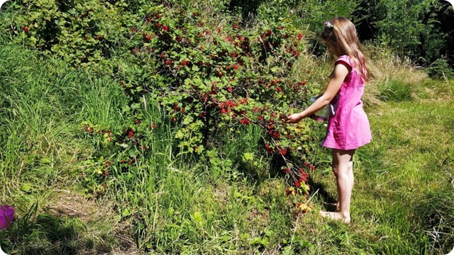 118309574_234984134441639_4759839417569773856_n