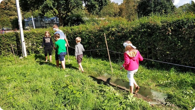 118942260_608491413174479_7699747452486969002_n