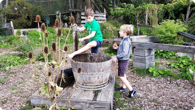 118951582_347426566392683_3600094174563545386_n