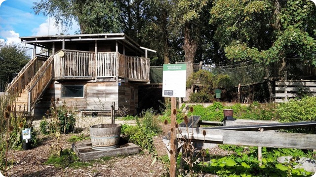 119021595_685731522289840_7145228203330662546_n