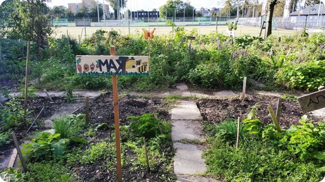 119060104_333280737871804_6506896973877966658_n