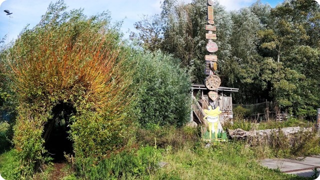 119067510_330680901603707_4809493139029300059_n