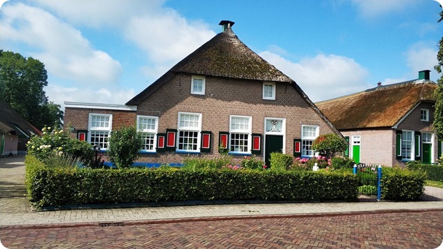 121136283_349776696122832_1541474852855650303_n