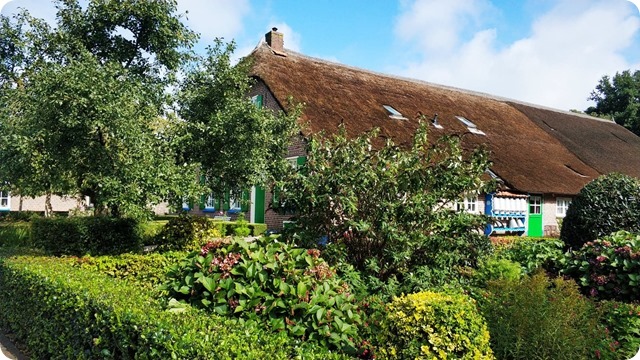 121164196_333866747678072_5315809578427576677_n (1)