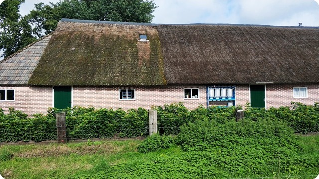 121168304_340284123912466_8150743210939940746_n