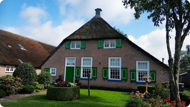 121193592_345615240094799_6750434745002253898_n