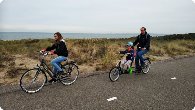 121933892_401333767697456_1489630496557447784_n