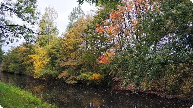 122620778_363573898191174_394654308649564666_n