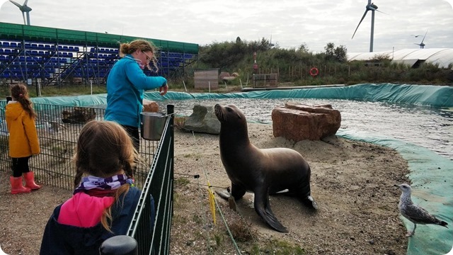 122663785_3072025332902023_7267323308126385855_n