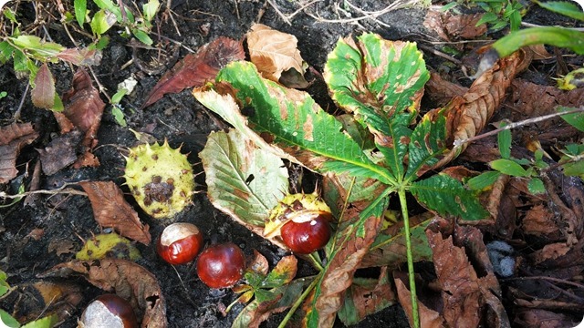 122752200_2647418738844038_2110807564441526573_n