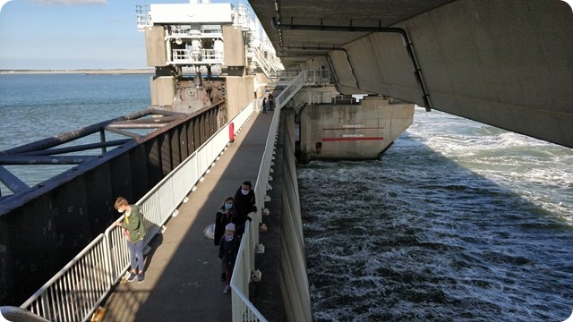 123137776_401719780850825_7363354375812180064_n