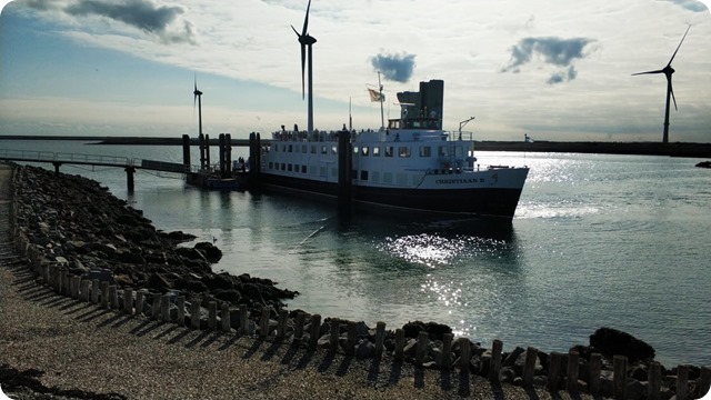 dd6b9795-ce2d-4d71-a10a-efc874ff9ff9