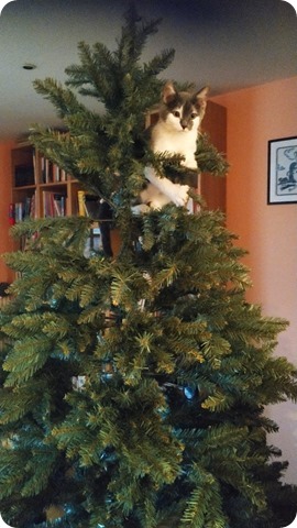 132259929_1801228403368637_2037391584199428786_n