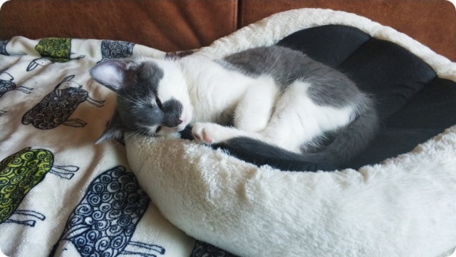 134375966_394812648247905_329404673557989906_n