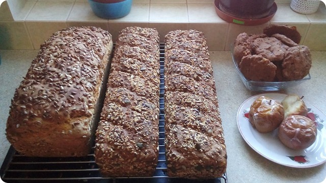 142886794_438575074157261_359335189479608448_n