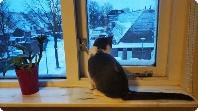 146939664_170755707876749_6755801269545310191_n