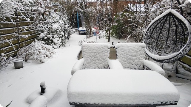 147083646_172880304287586_7957123020446459906_n