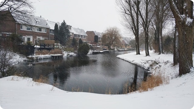 147687444_336821620859061_5909063428934350957_n