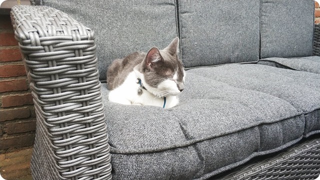 168454774_212954473952031_2920758797765179214_n