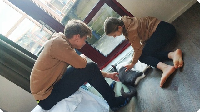 182987582_478492896802356_7184471335499161461_n