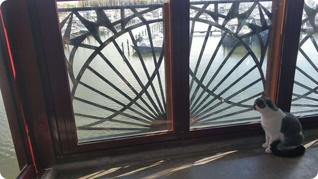 183155224_165128735528680_5905733884506126304_n