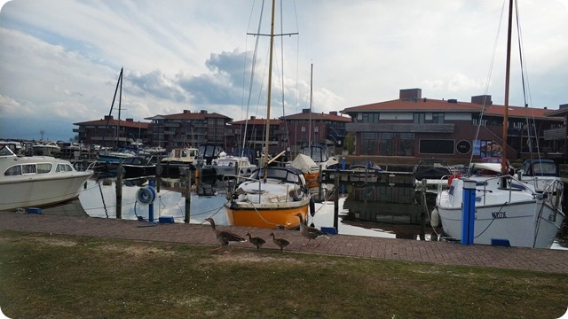 183965012_907638646695279_3524255361146289698_n