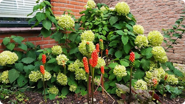 240801392_591560038506302_6864727437442143345_n