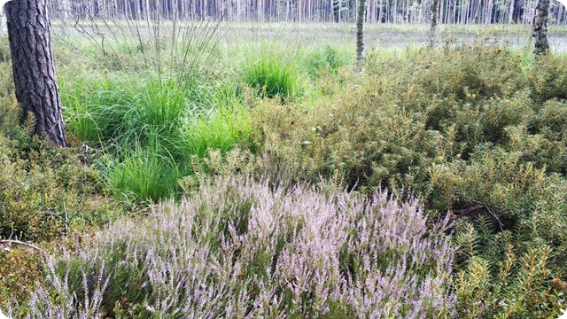 240806414_389229489252849_7809187193140033994_n