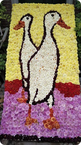 240831459_531739401427333_331589230321388653_n