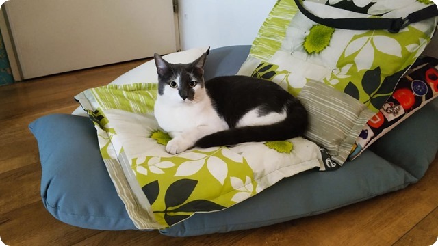 241270281_121260680179650_5325585174776814663_n