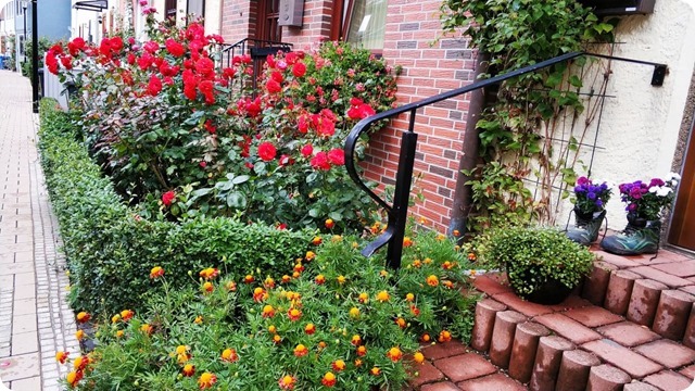 241573006_214056947428123_8375248298913877697_n