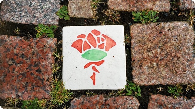 241577171_869151120695918_6363785314639369489_n